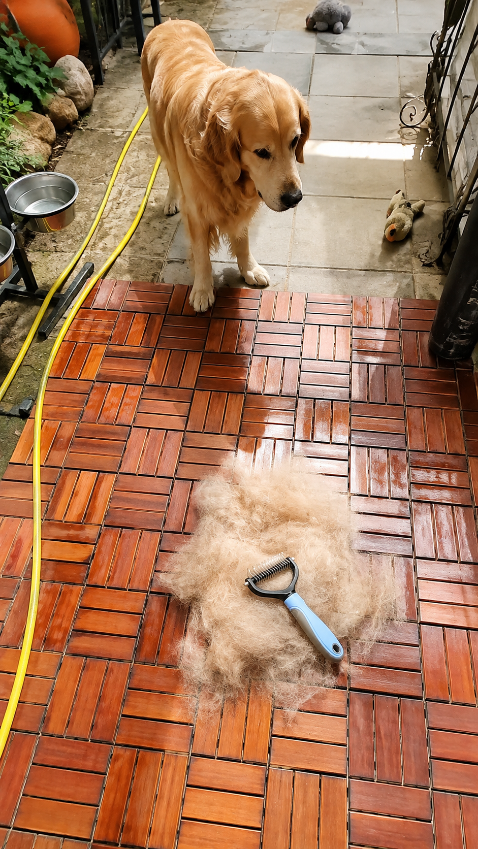 The Complete Shed Control System